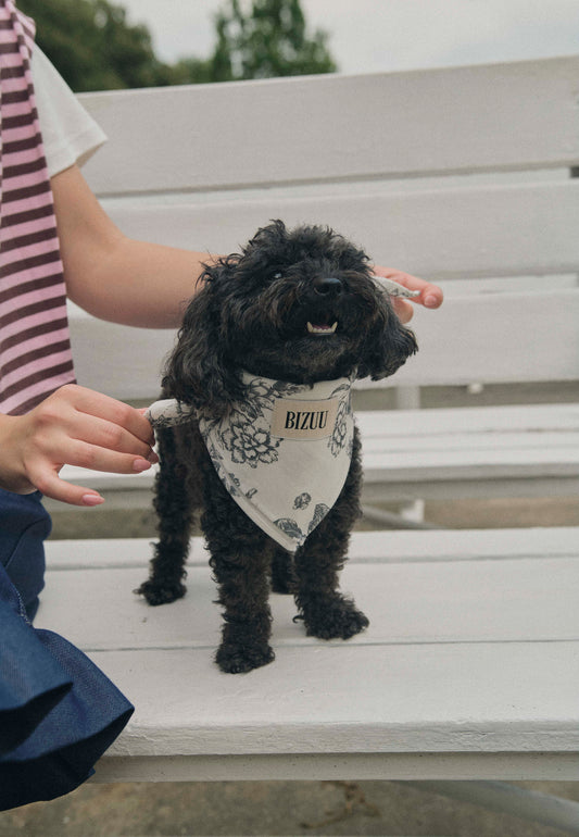 Czarny piesek stojący na białej ławce z przewiązaną wokół szyi apaszką z logo Bizuu.
