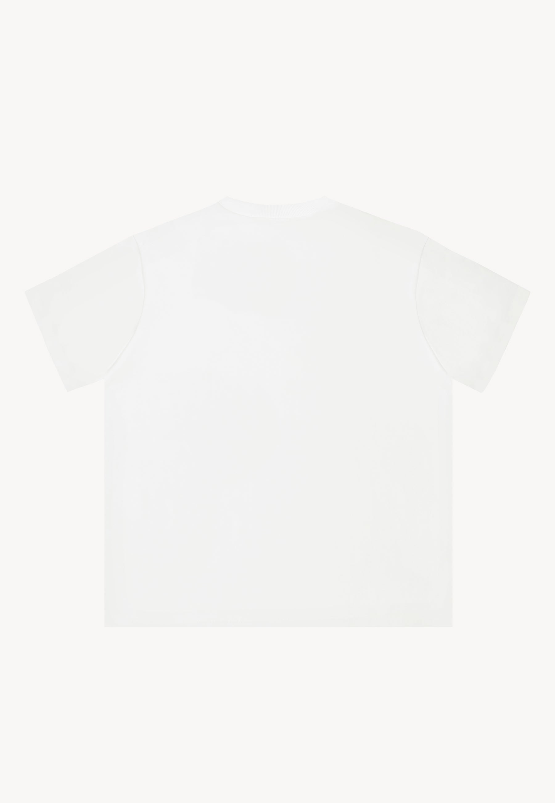 Tył białego T-shirtu TISHALLE.